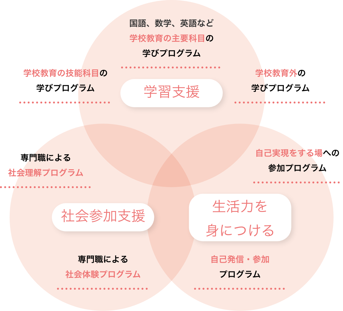 学習支援:国語、数学、英語など学校教育の主要科目の学びプログラム 学校教育の技能科目の学びプログラム 学校教育外の学びプログラム 社会参加支援:専門職による社会理解プログラム 専門職による社会体験プログラム 生活力を身につける:自己実現をする場への参加プログラム 自己発信・参加プログラム